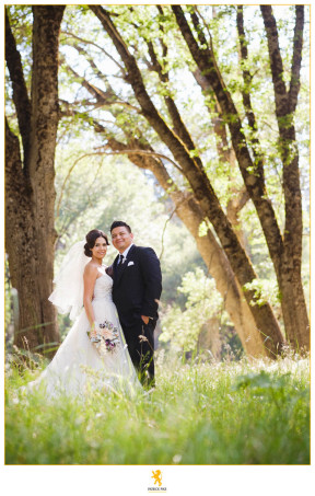 Erica and Jose Meadow elopement